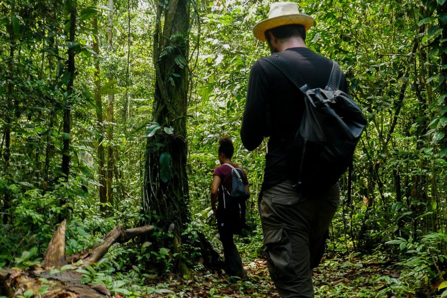 Into the Lush – Hiking Tour